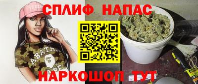 мдпв Гусев