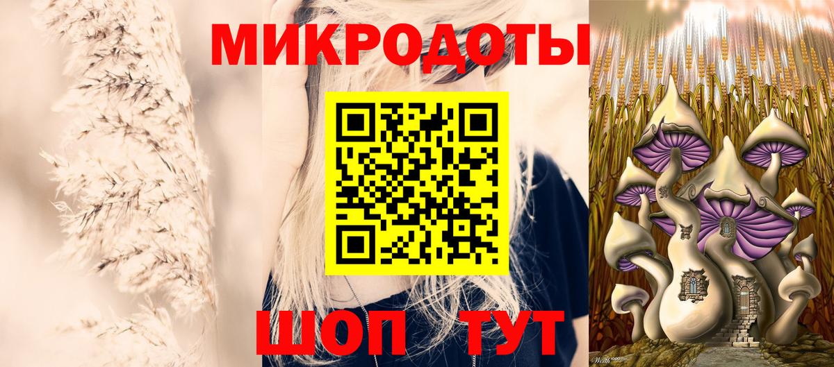 Псилоцибиновые грибы Psilocybine cubensis Нижний Тагил
