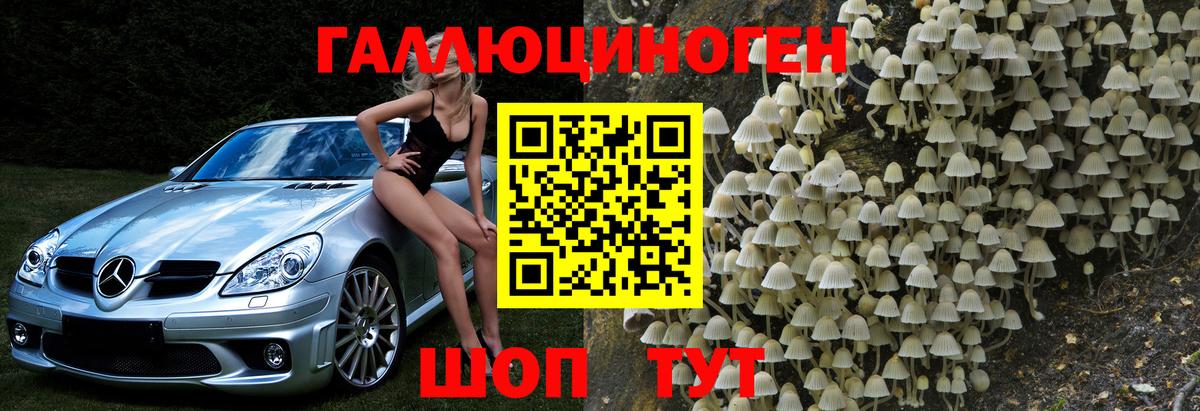 купить   Галлюциногенные грибы Magic Shrooms  Вход с VPN  Нижний Тагил 